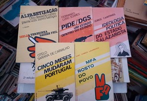 imagem_2