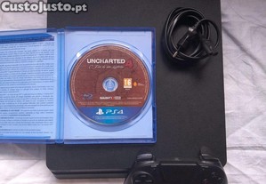 imagem_3