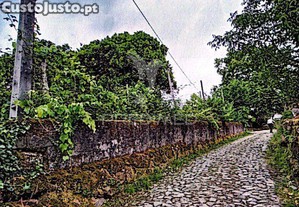 imagem_31