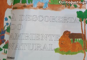 imagem_6