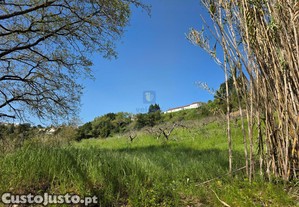 imagem_26