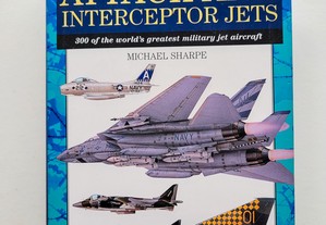Attack and Interceptor Jets