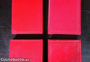 imagem_2
