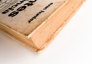 imagem_2