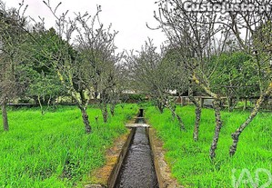 imagem_35