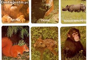 imagem_3