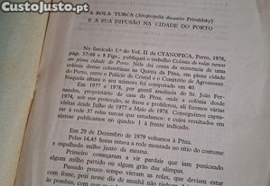 imagem_7