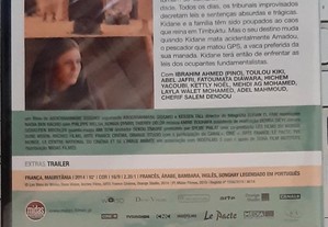 imagem_6