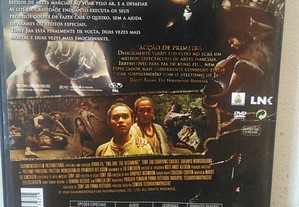 imagem_8