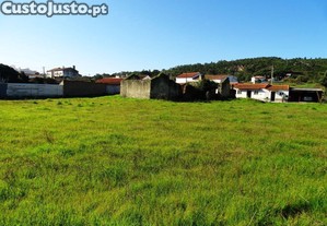 imagem_6