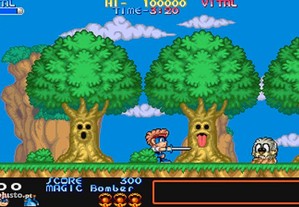 imagem_2