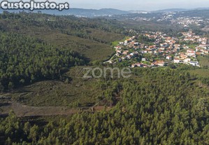 Felgueira - Terreno Florestal C/ 15.130 M², Em...