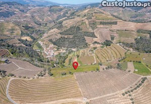 Terreno Com 9 121 M2 Situado Em S. Marta De...