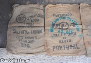 imagem_1
