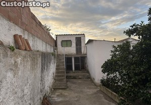 imagem_19