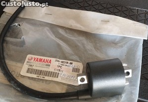 Bobine moto Yamaha