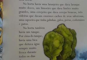 imagem_4