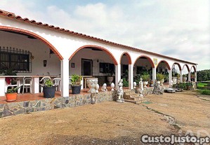 imagem_8