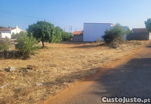 Terreno em Santarém: Localização Privilegiada e Acessos Fáceis