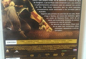 imagem_6