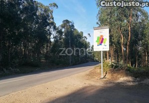 Terreno Rustico Com 25.000 M2 Em Fradelos...