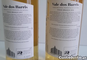 imagem_5
