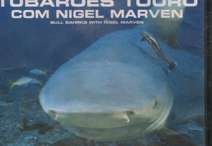 DVD-Discovery-Tubarões Touro-Nigel Marven-Novo/Selado