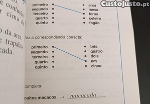 imagem_6