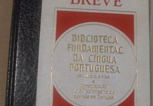 Alegria Breve, Vergílio Ferreira
