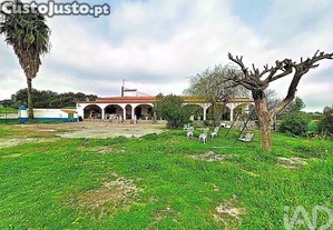 imagem_10