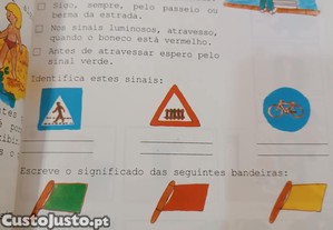 imagem_4