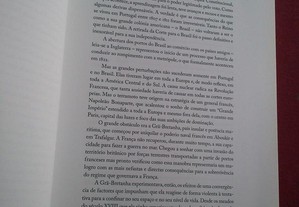imagem_4