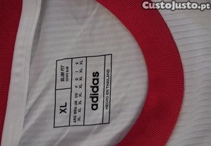 imagem_6