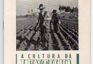 A cultura da lentilha (1943)