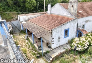 imagem_21