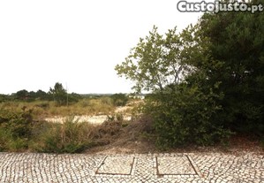 imagem_8
