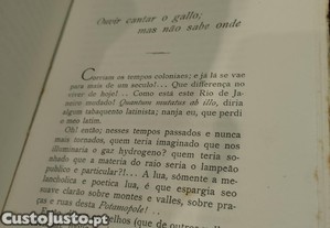 imagem_6