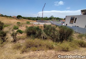 imagem_6