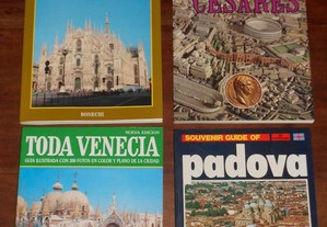 Livros turisticos guias Italia - Roma, Padova, Veneza, Milão