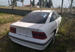 imagem_3