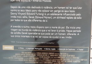 imagem_6