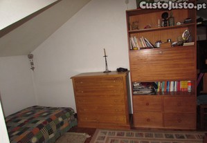 imagem_25
