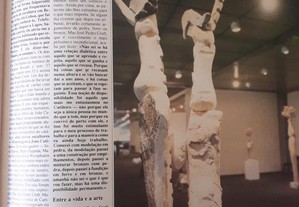 imagem_8