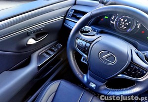 imagem_15