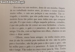 imagem_7