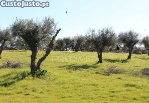 imagem_24