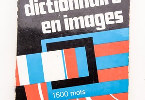 Premier Dictionnaire En Images 