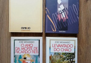 Livros José Saramago (portes grátis)