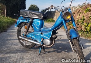 Flandria 50