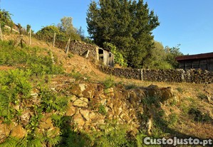 imagem_22